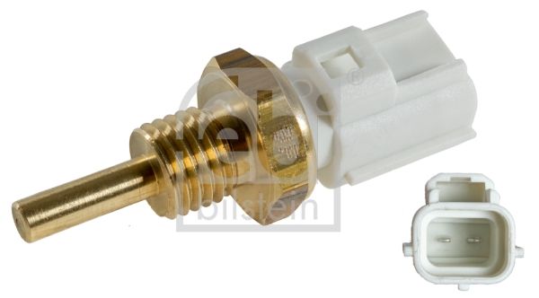 30670-febi20200207-1758-ubzjpf_original