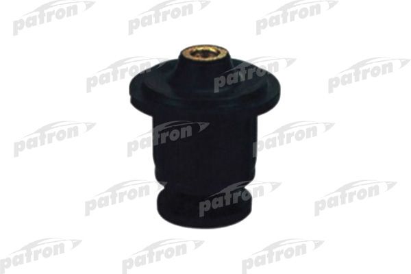 Pse1221-patron20200130-11548-1eghnh4_original