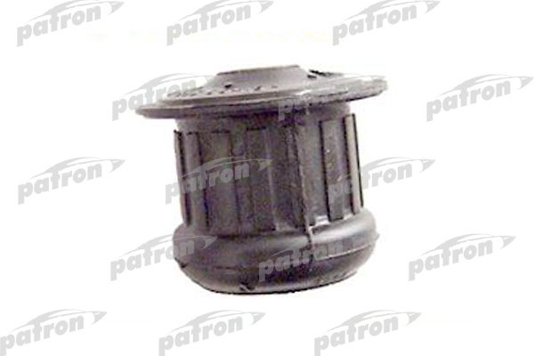 Pse3002-patron20200130-11548-xstkqb_original