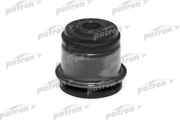 Pse3022-patron20200130-11548-ei7ct9_original