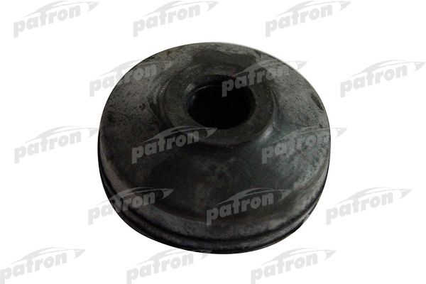 Pse2174-patron20200130-1016-gf6ogw_original