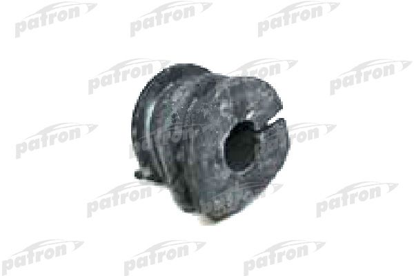 Pse2398-patron20200225-14760-2pmtn2_original