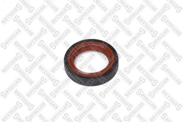 3400001sx-stellox20200302-19460-19joiq2_original