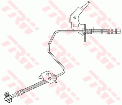 Phd567-trw-lucas20200212-13575-1p5a3lg_original