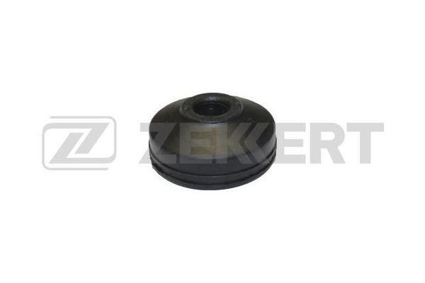 Gm1005-zekkert20200226-14760-gjl9tv_original