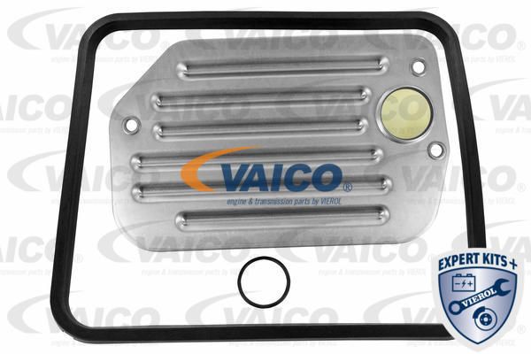 V100429-vaico-vemo20200222-14760-fucna9_original