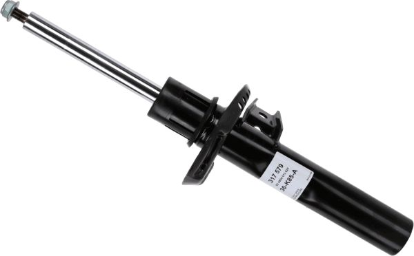 317579-sachs20200129-11548-ydopnm_original