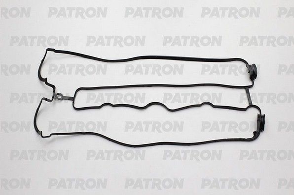 Pg60051-patron20200302-19460-zpx7v6_original