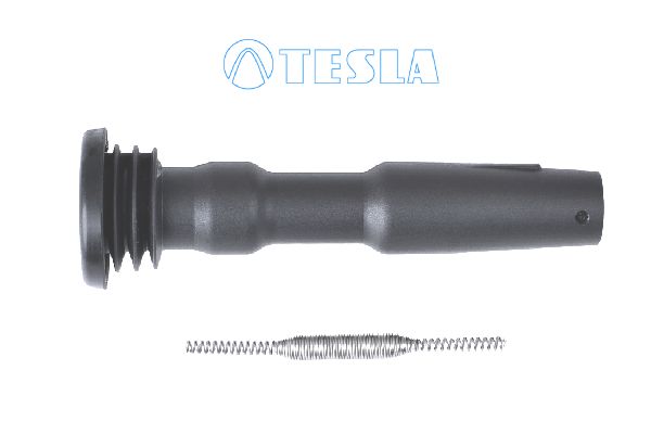 Cp074-tesla20200129-11548-10mymwi_original