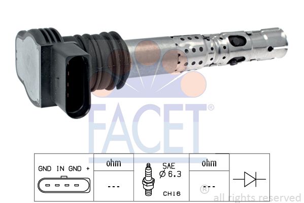 96329-facet20200220-18627-y3z2x6_original