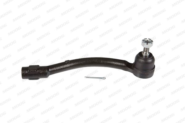 Hyes13304-moog20200130-1016-r789ol_original