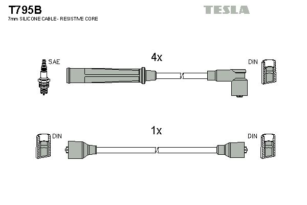 T795b-tesla20200130-1016-u0dwjx_original