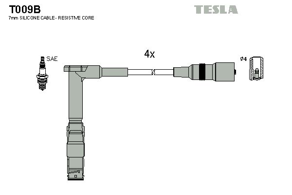 T009b-tesla20200129-11548-1uqf2t4_original