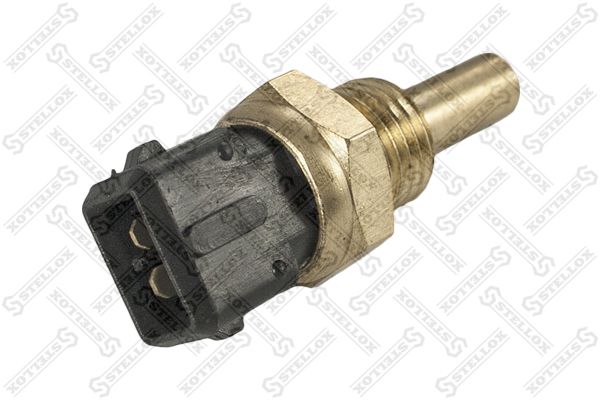 0604039sx-stellox20200201-8384-1l4gurb_original