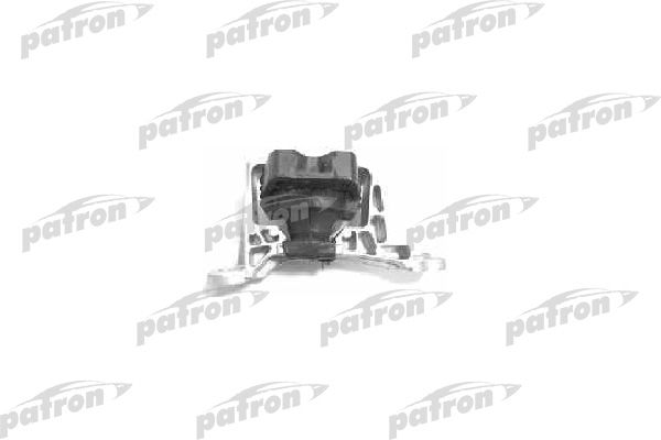 Pse3356-patron20200129-11548-7dxp6n_original