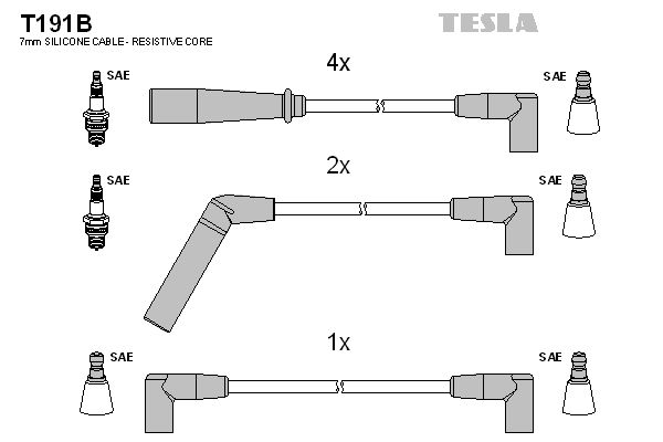 T191b-tesla20200129-11548-zgk4d6_original