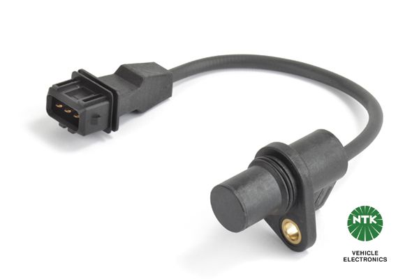 81240-ngk20200229-23120-xtnise_original