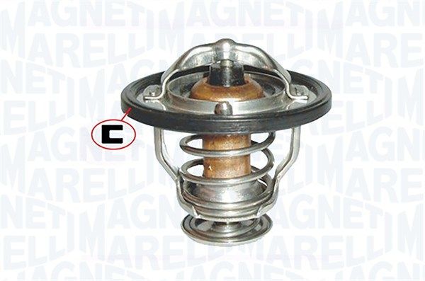 352317100810-magneti-marelli20200130-11548-1weihpp_original