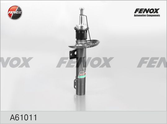 A61011-fenox20200130-11548-vmqprx_original