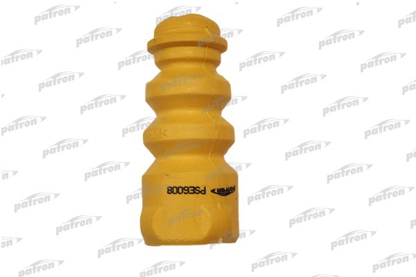 Pse6008-patron20200204-8384-sfssh4_original