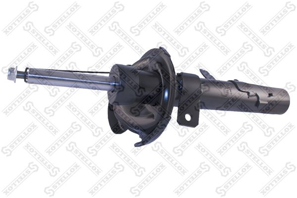 42141073sx-stellox20200222-14760-ryobv2_original