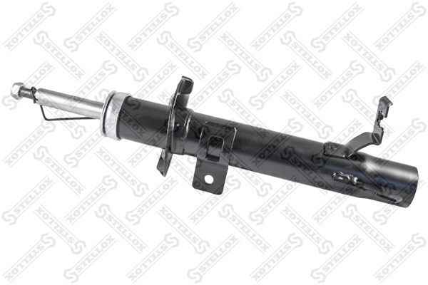 42130391sx-stellox20200301-28712-ox7kua_original