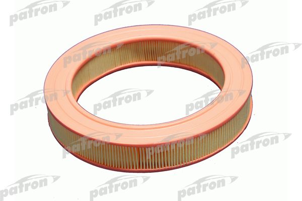 Pf1195-patron20200201-8384-1nry1ai_original