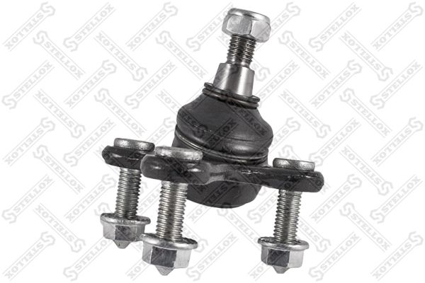 5203351asx-stellox20200130-11548-7avwlz_original