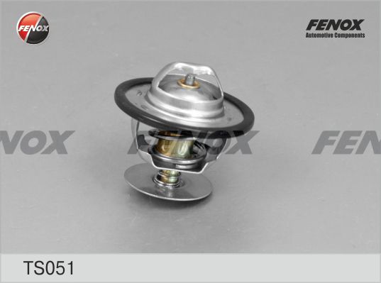 Ts051-fenox20200218-27360-v9bajo_original