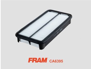 Ca6395-fram20200208-16500-rx20nm_original