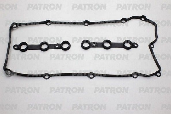 Pg16008-patron20200211-13575-10a9ptu_original