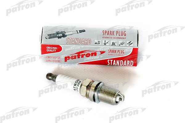 Spp3008-patron20200201-8384-1ddsmzj_original