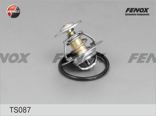 Ts087-fenox20200226-14760-z3c8nl_original