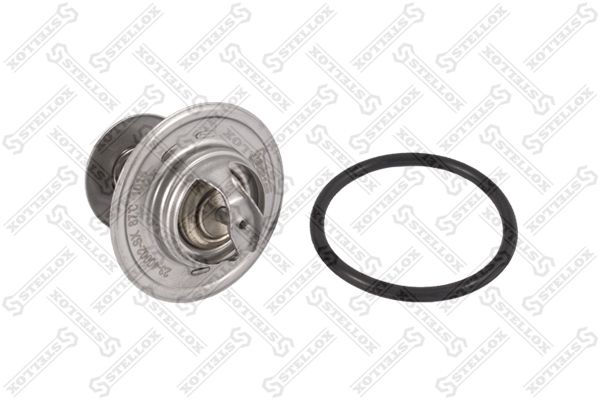 2340002sx-stellox20200226-14760-17cy99_original