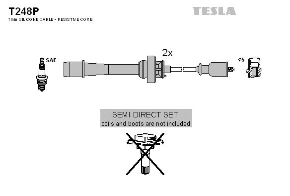 T248p-tesla20200130-11548-1e2elsh_original