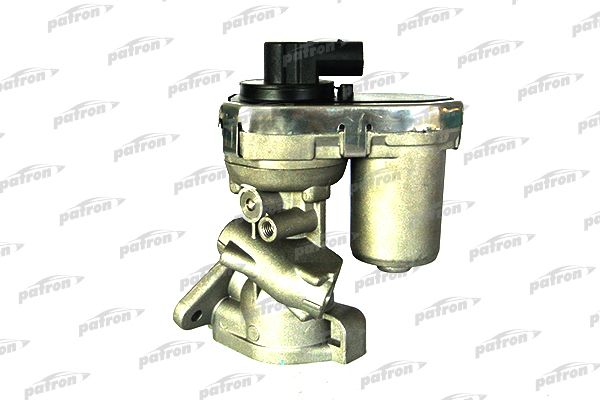 Pegr035-patron20200130-11548-4tkod4_original