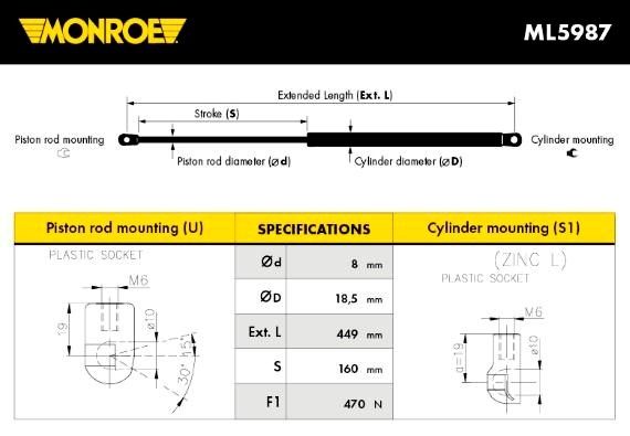 Sp2868-monroe20200228-467-1oaeb8v_original