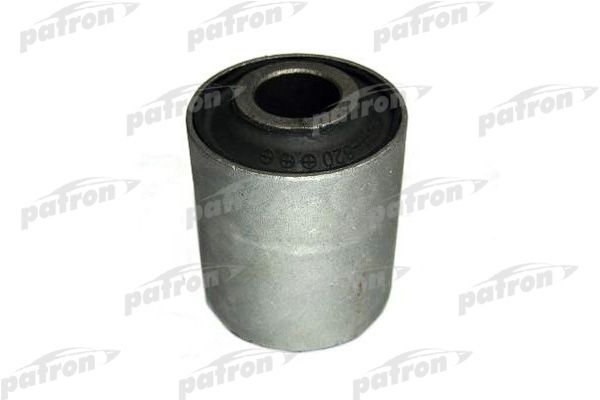 Pse1697-patron20200130-11548-60iua8_original