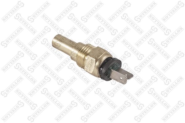 0604091sx-stellox20200218-27360-18bk11l_original