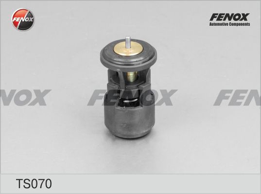 Ts070-fenox20200205-8384-1jbj7o5_original