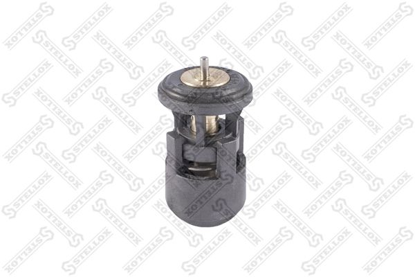2340011sx-stellox20200130-11548-9bxjw1_original