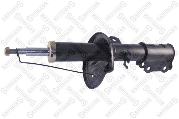 42130151sx-stellox20200201-8384-ftd97d_original