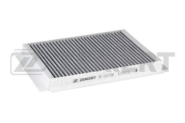 If3173k-zekkert20200209-16500-ivwvty_original