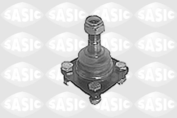 9005279-sasic20200130-1016-83qdcd_original