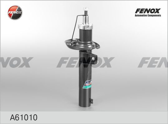 A61010-fenox20200130-11548-tf174m_original