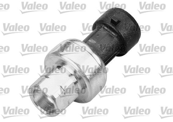 509485-valeo20200130-11548-2pymqb_original