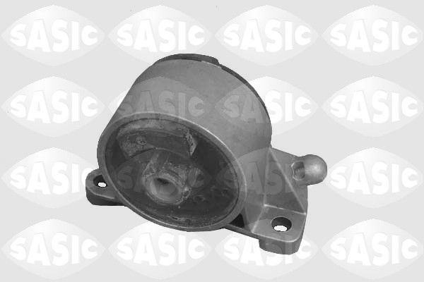 9002479-sasic20200130-11548-1lwj9ox_original