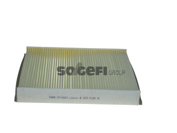 Cf11661-fram20200302-19460-1bb09v8_original