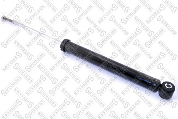 32120034sx-stellox20200225-14760-1x9l16u_original