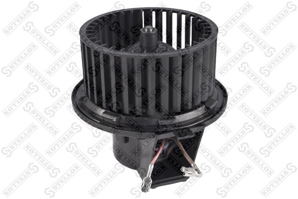 2999026sx-stellox20200130-11548-1ll2rh5_original